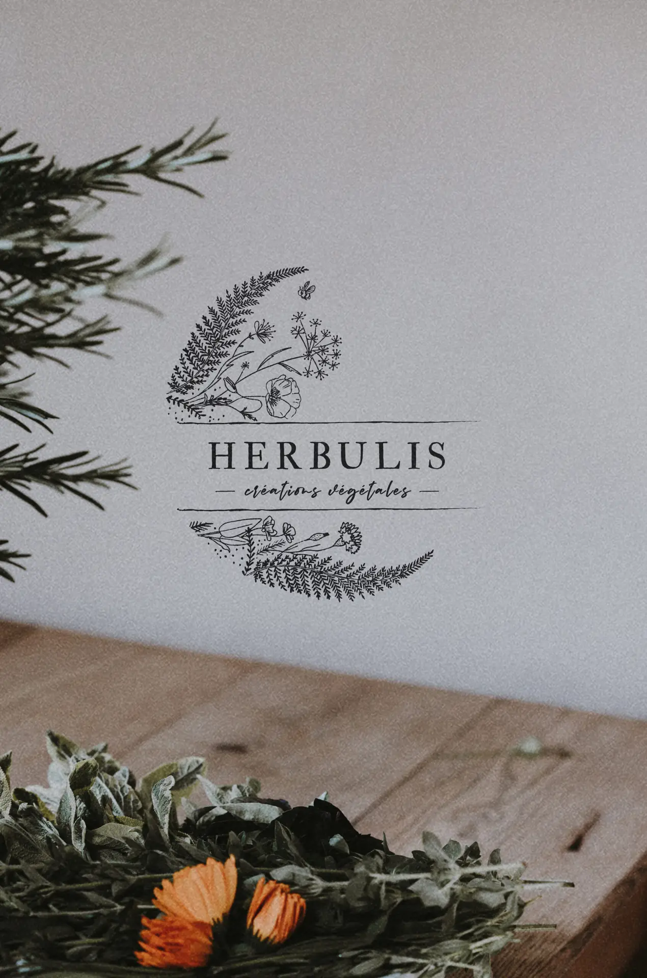 Herbulis